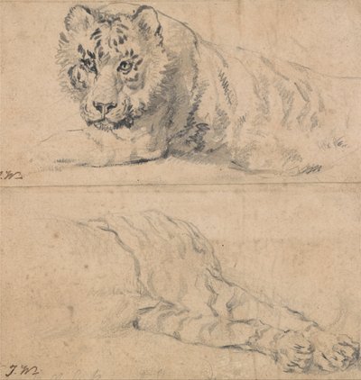 Studies of a Tiger; Above, Head and Shoulders; Below, Hindquarters by James Ward